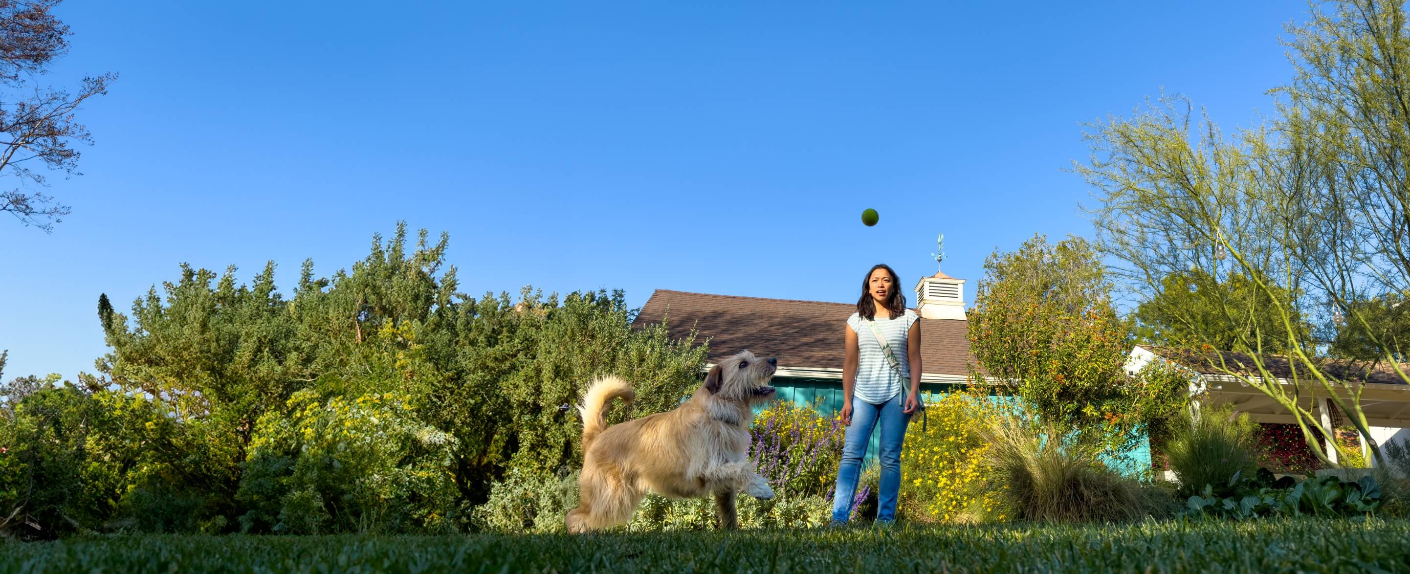 Woman playing fetch with a dog saying I didn't think endo pain relief would be possible. I'm glad I was wrong.
